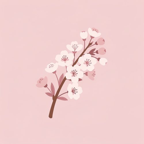 Cherry blossoms